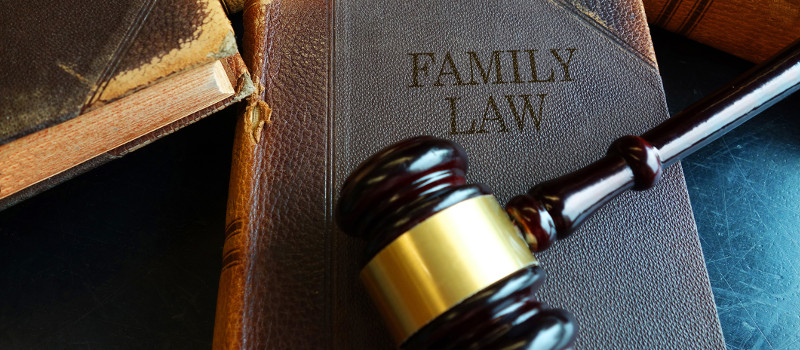 Family Law, Davidson, North Carolina